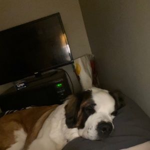 Meet your Posher, Rob